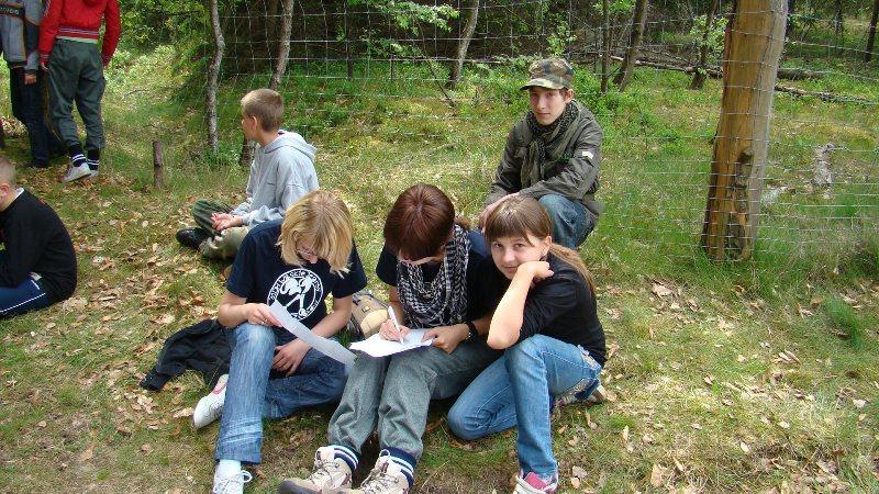 Zdjęcie